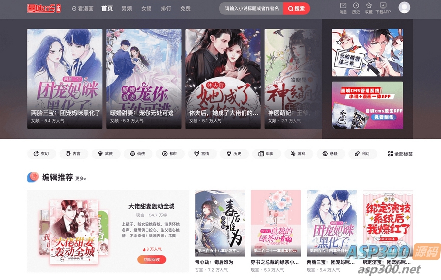 漫画网站小说源码程序CMS系统源码