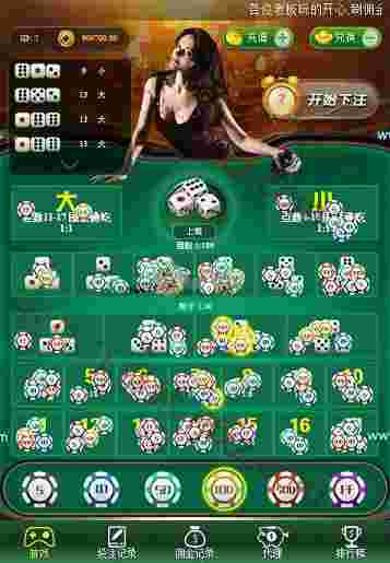 极速骰宝游戏源码带搭建视频教程