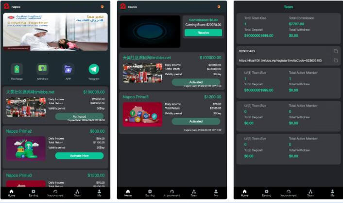 Q082-Napco海外投资理财源码-前端html+后端PHP