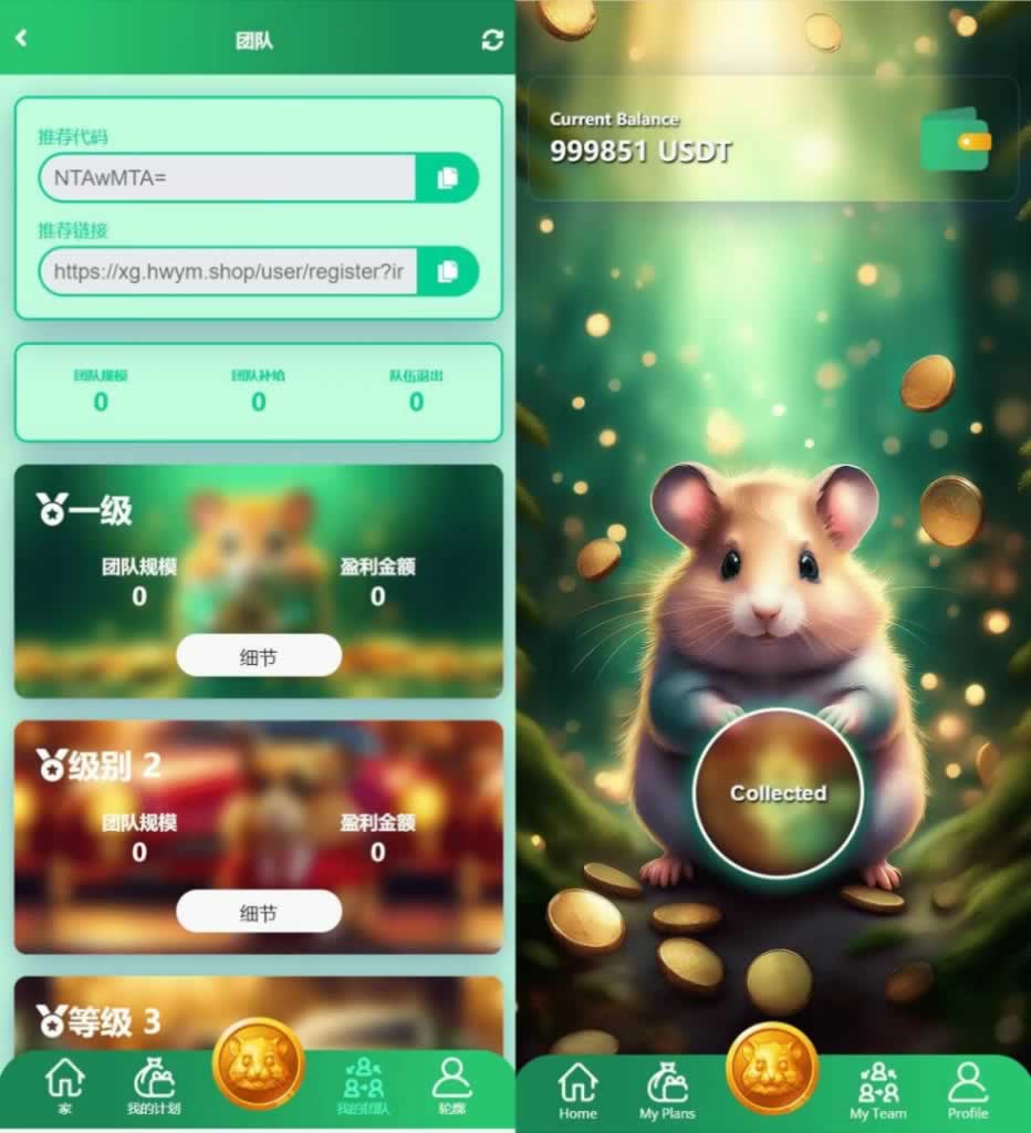 Q040-超萌超可爱的的海外版仓鼠挖矿源码/共享投资理财系统源码